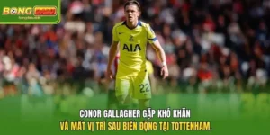 Conor Gallagher Gây Chú Ý Sau Màn Hồi Sinh Tại Spurs
