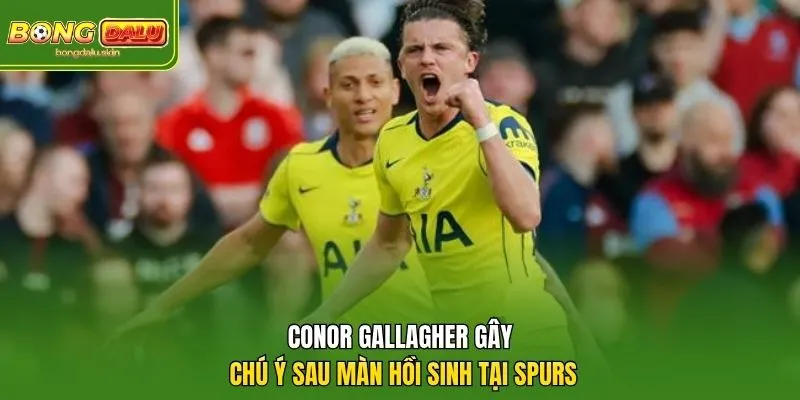 Conor Gallagher gặp khó khăn và mất vị trí sau biến động tại Tottenham.