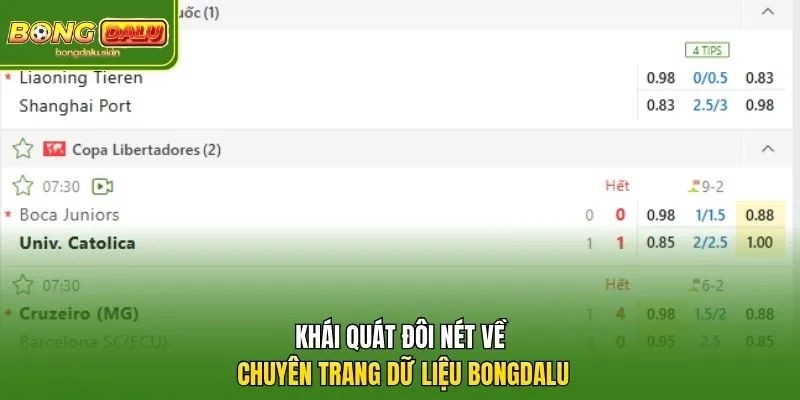 Khái quát đôi nét về chuyên trang dữ liệu Bongdalu