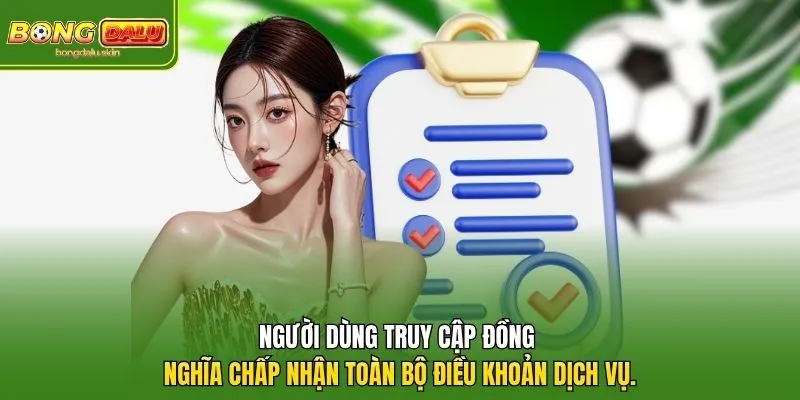 Người dùng truy cập đồng nghĩa chấp nhận toàn bộ điều khoản dịch vụ.
