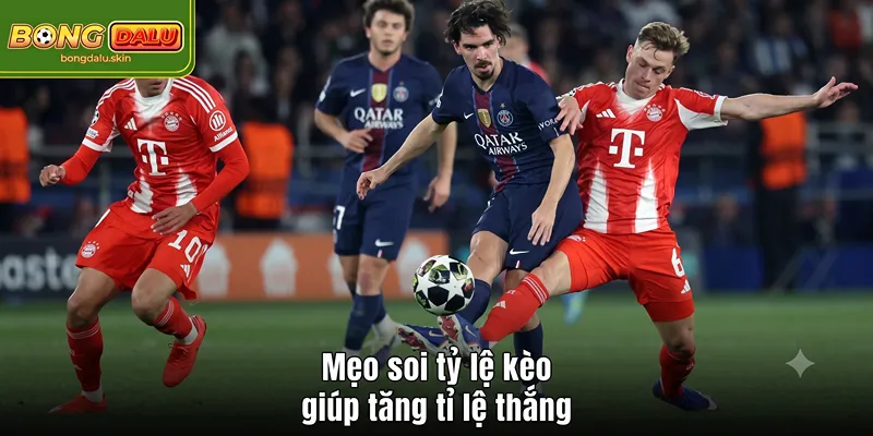 Mẹo soi kèo giúp tăng tỉ lệ thắng