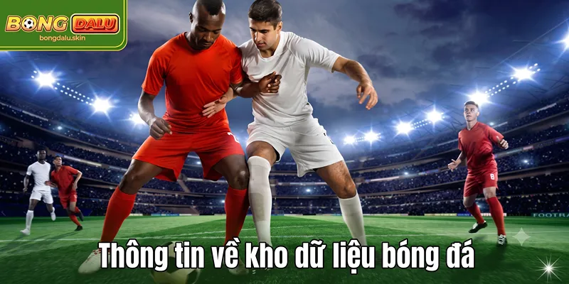 Thông tin về kho dữ liệu bóng đá