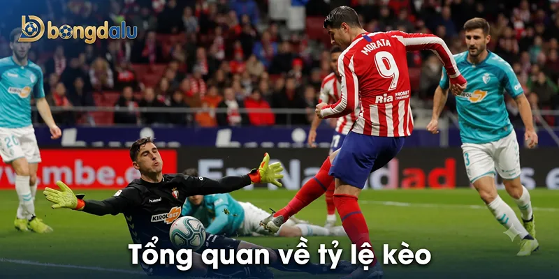 Tổng quan về tỷ lệ kèo